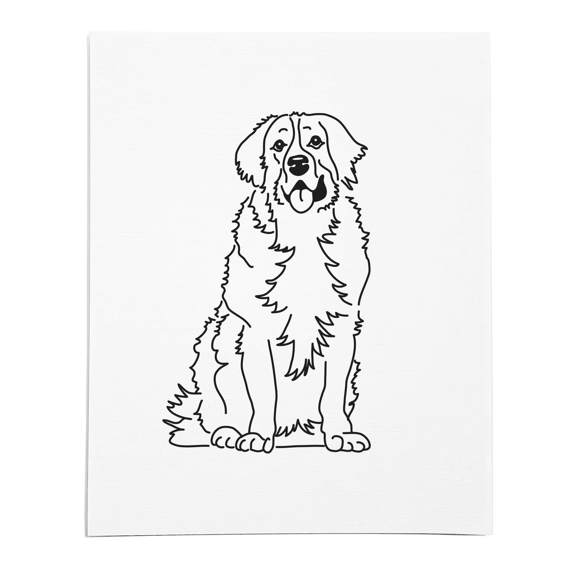 An art print of a line drawing featuring a Bernese Mountain Dog on white linen paper