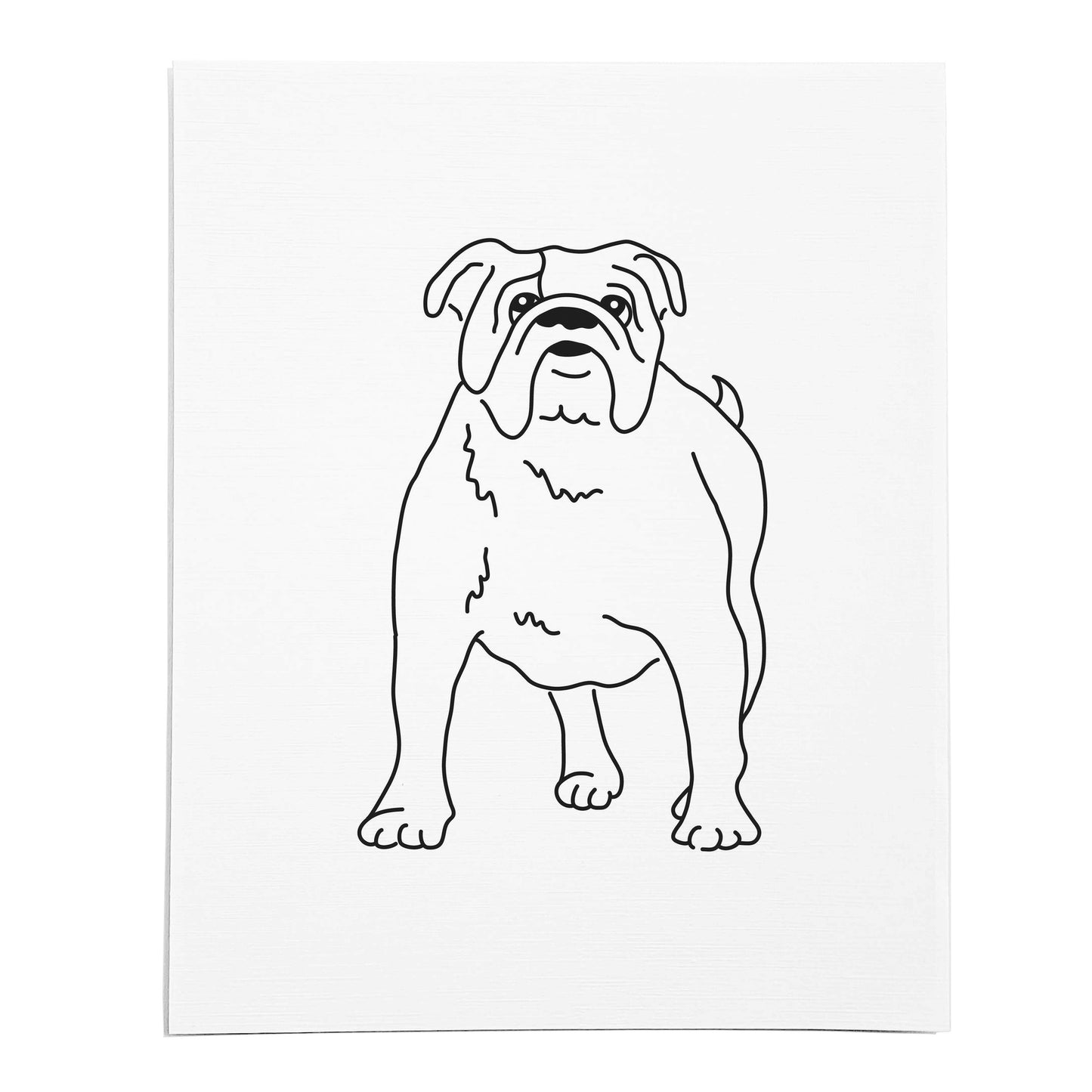 An art print featuring a line drawing of a Bulldog dog on white linen paper