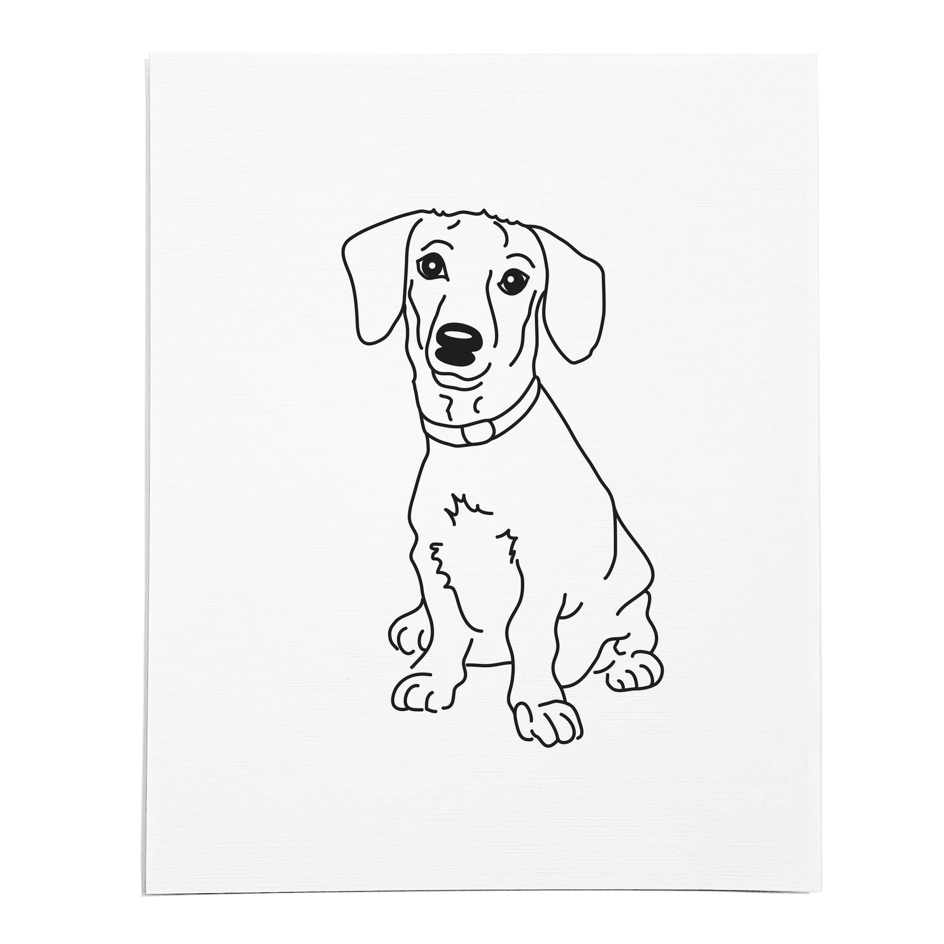 An art print featuring a line drawing of a Dachshund dog on white linen paper