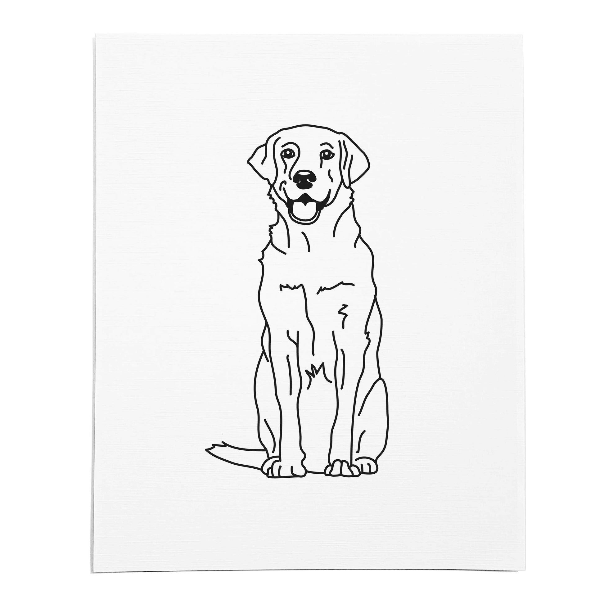 An art print featuring a line drawing of a Labrador dog on white linen paper