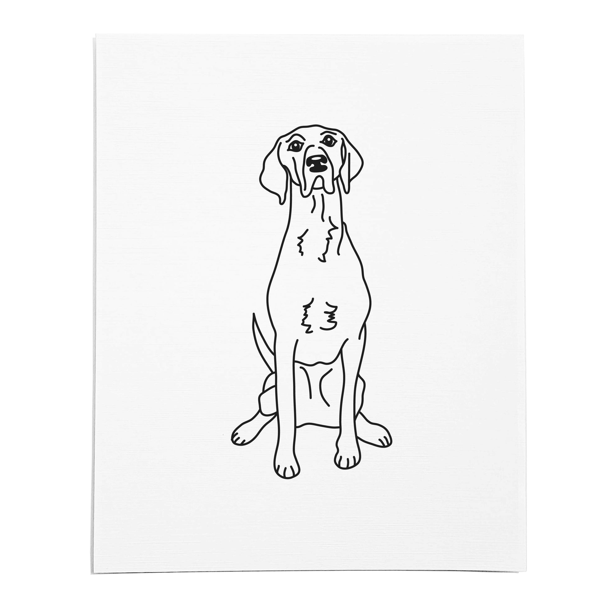 An art print featuring a line drawing of a Pointer dog on white linen paper