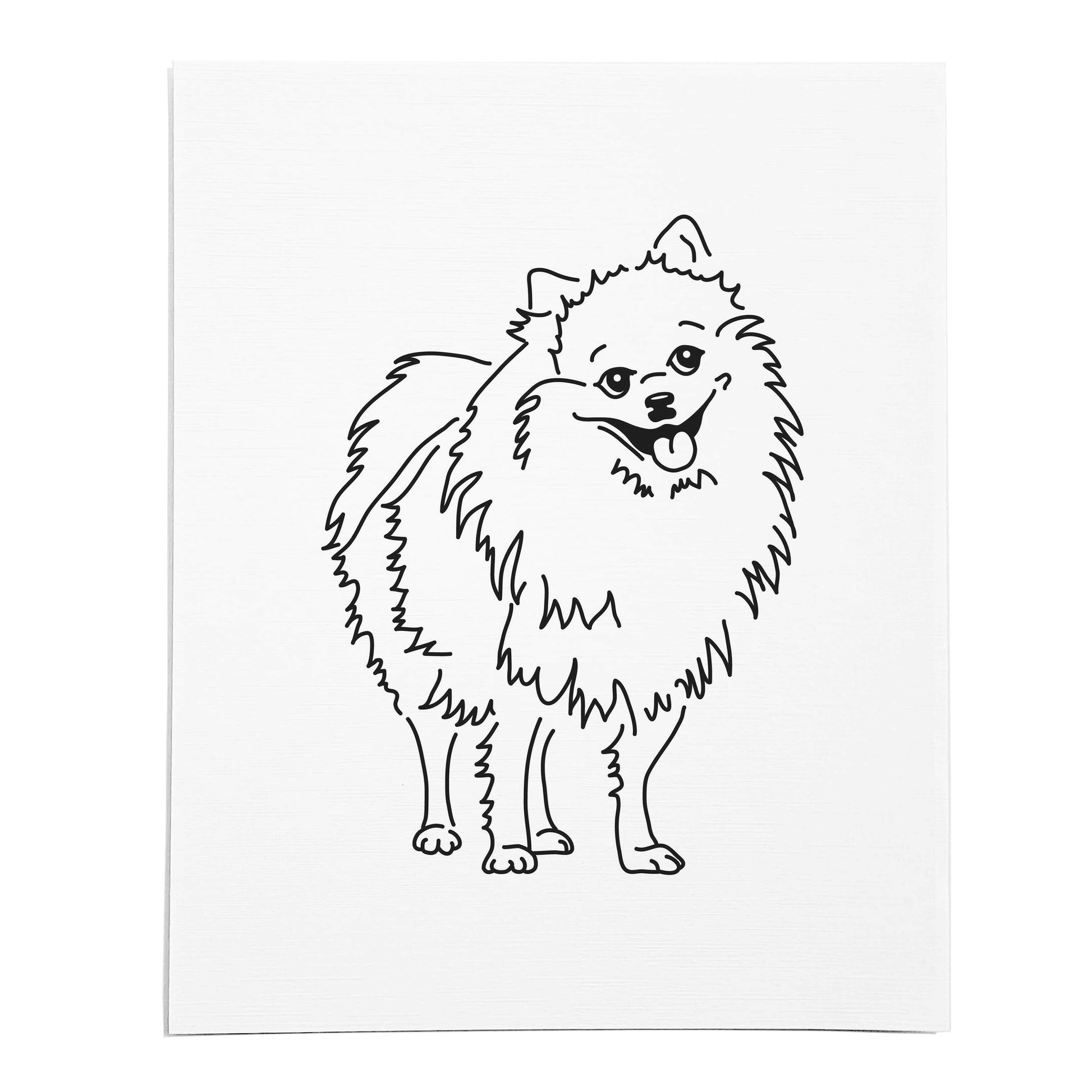 An art print featuring a line drawing of a Pomeranian dog on white linen paper