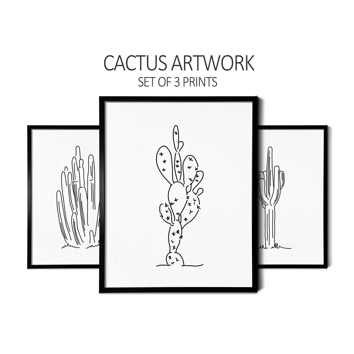 Custom line art drawings of an Organ Pipe Cactus, a Prickly Pear Cactus, and a Saguaro Cactus on white linen paper in thin black picture frames