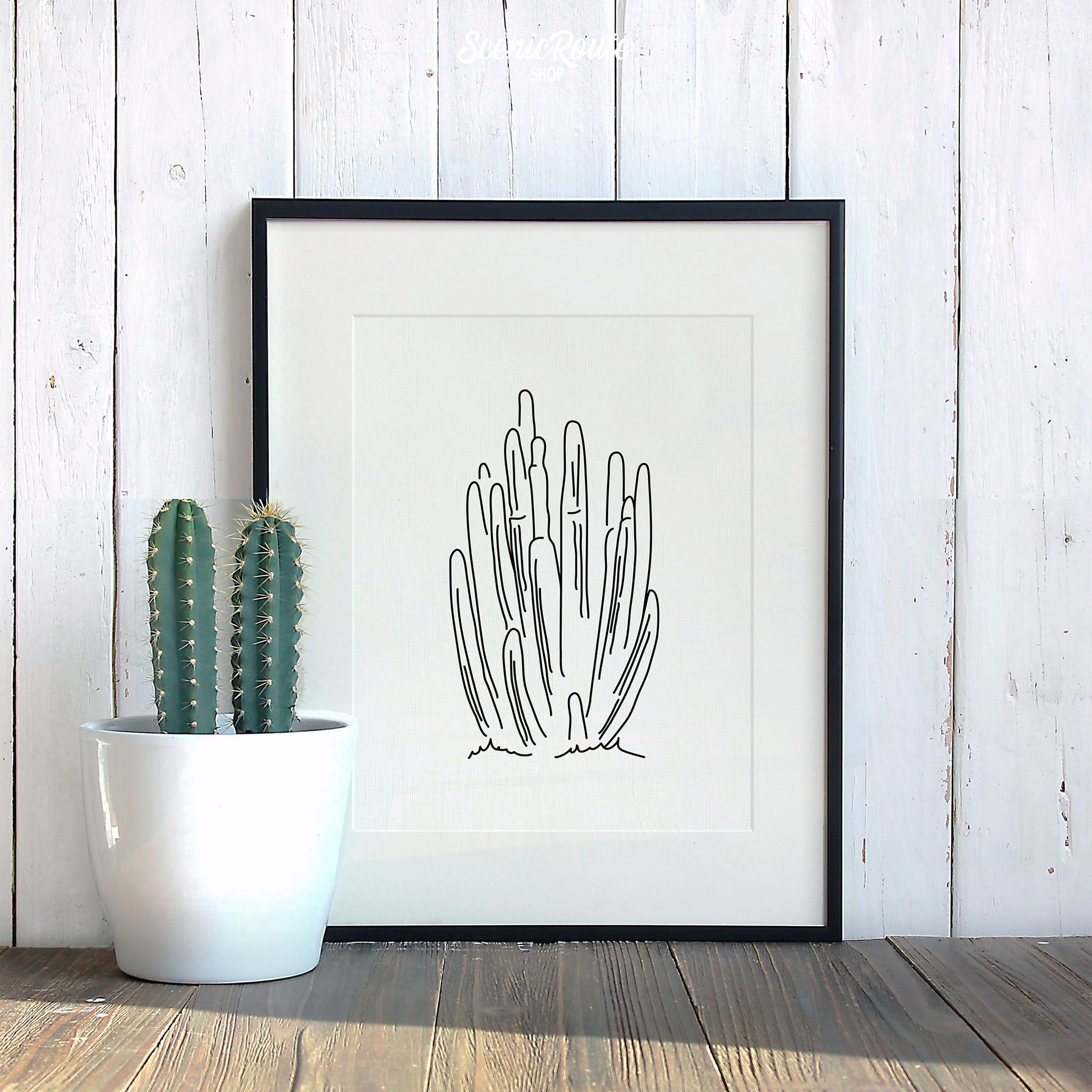 A framed line art drawing of a Organ Pipe Cactus leaning against a wood wall with a cactus