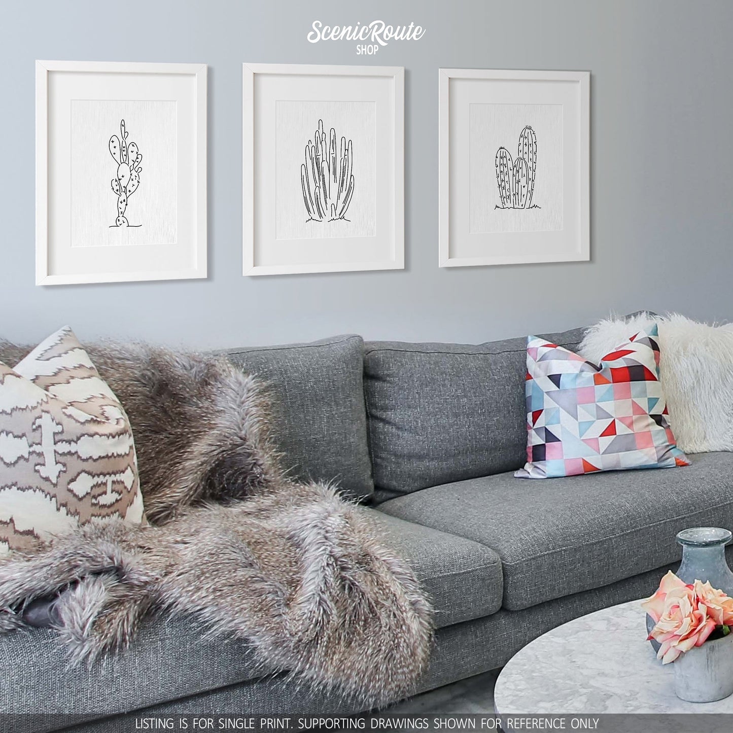 A group of three framed drawings on a white wall hanging above a couch with pillows and a blanket. The line art drawings include Prickly Pear Cactus, Organ Pipe Cactus, and Torch Cactus