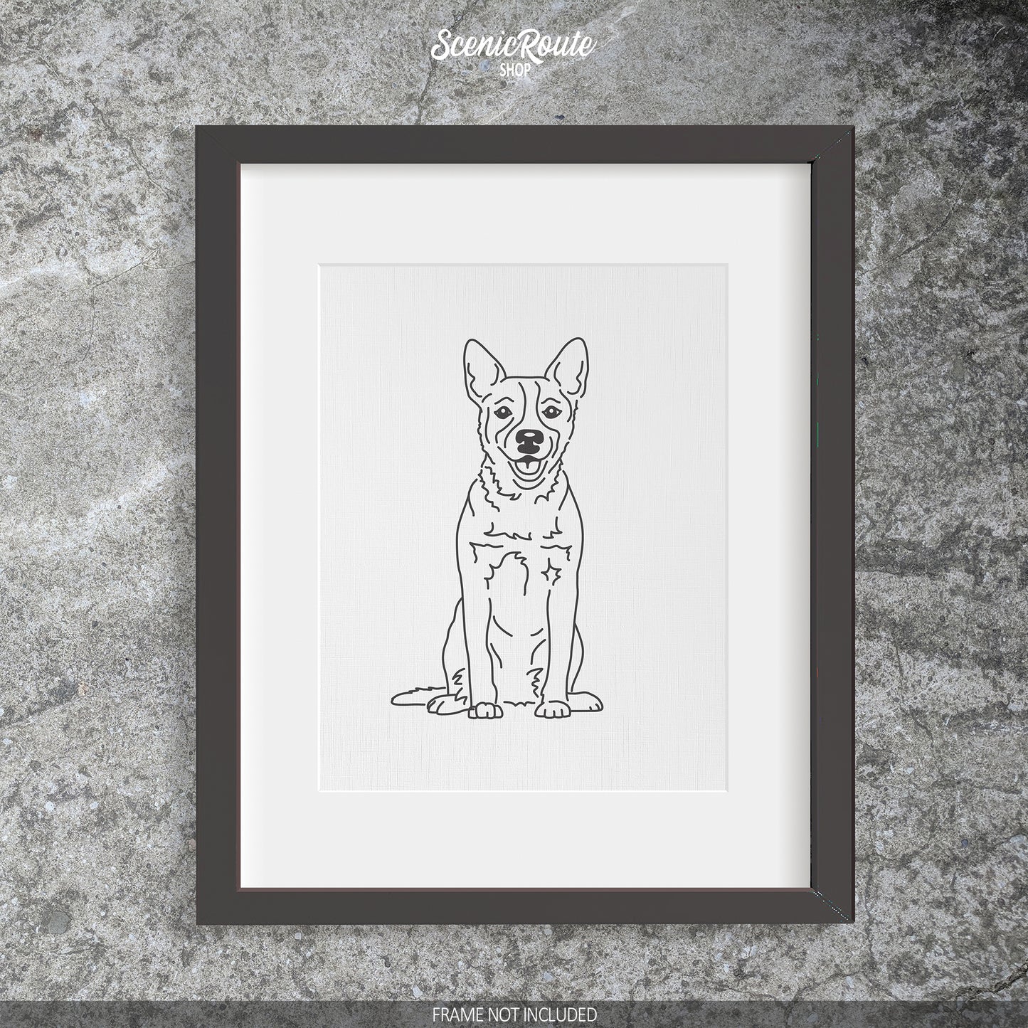 Australian Cattle Dog Art Print (Blue Heeler / Red Heeler / Queensland Heeler)