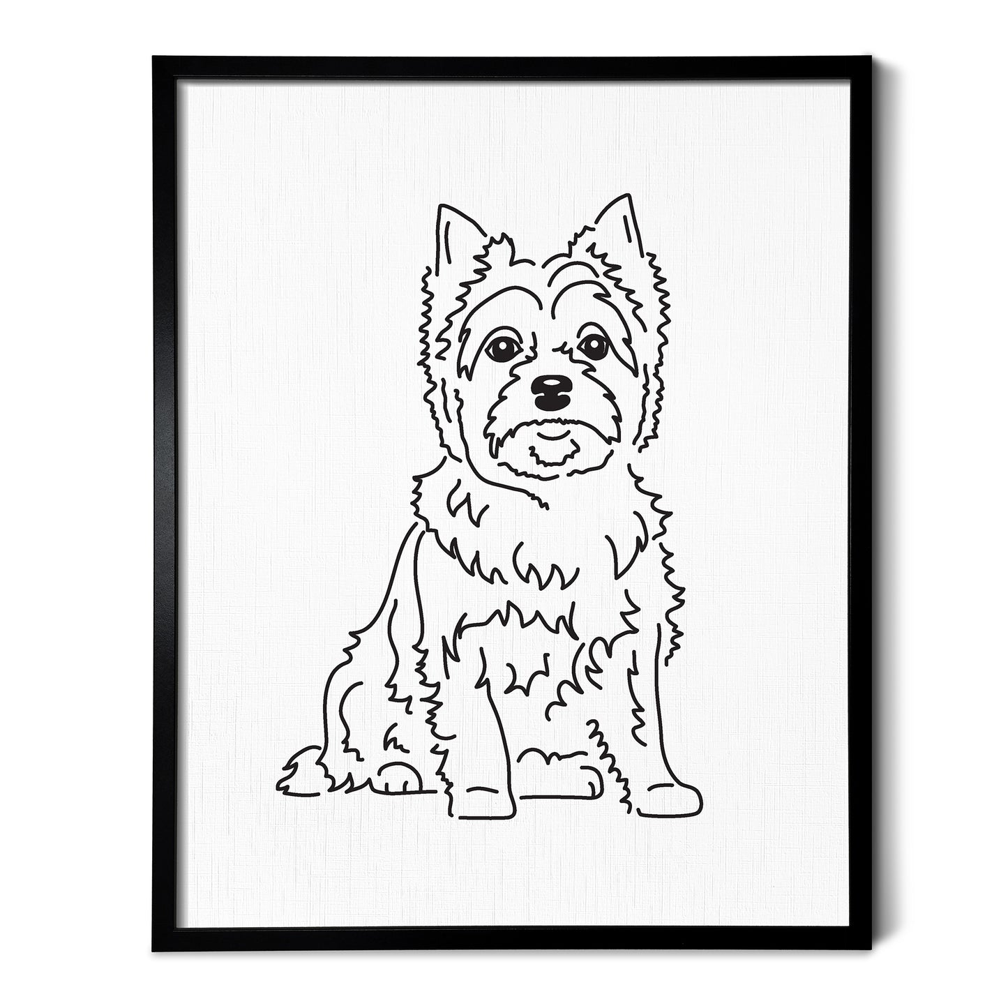 Cairn Terrier