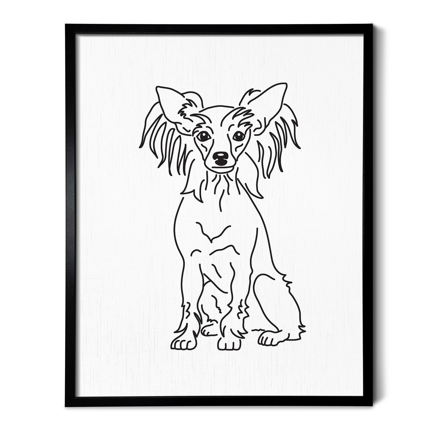 Chinese Crested