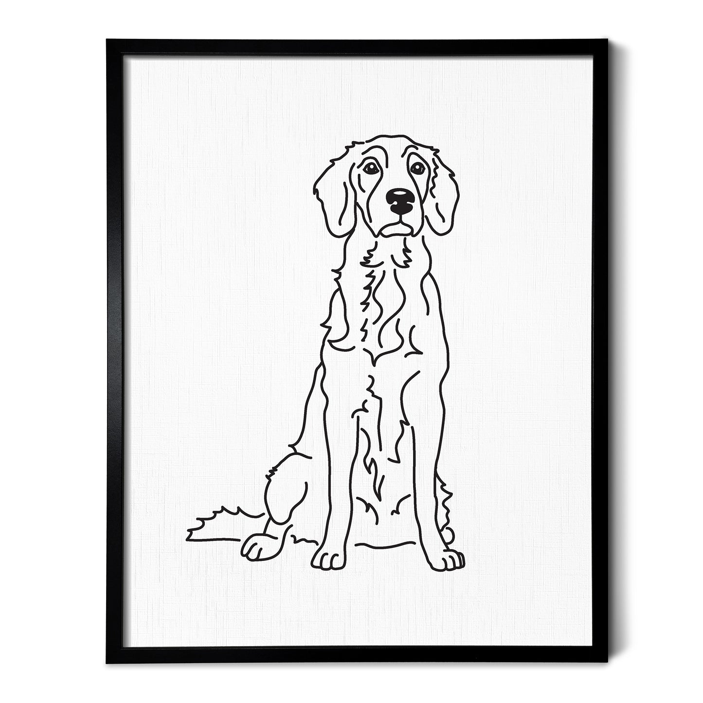 English Setter