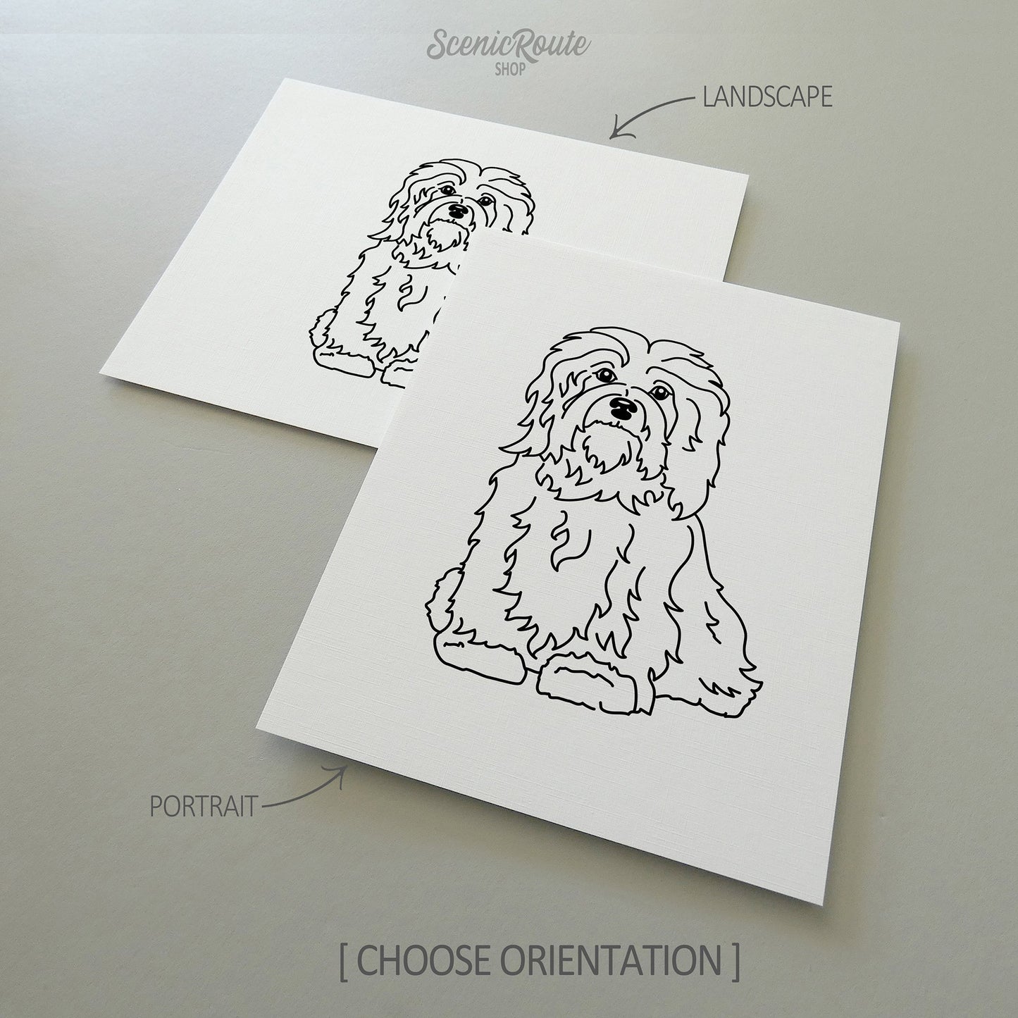Two line art drawings of a Havanese dog on white linen paper with a gray background.  The pieces are shown in portrait and landscape orientation for the available art print options.