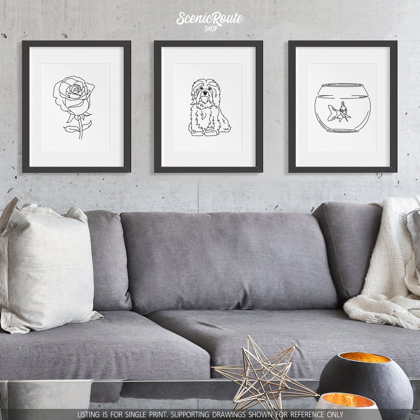 A group of three framed drawings on a white wall above a couch. The line art drawings include a Rose flower, a Havanese dog, and a Goldfish in a bowl