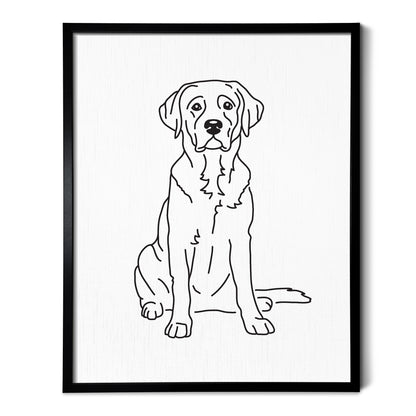 Labrador (American) Art Print