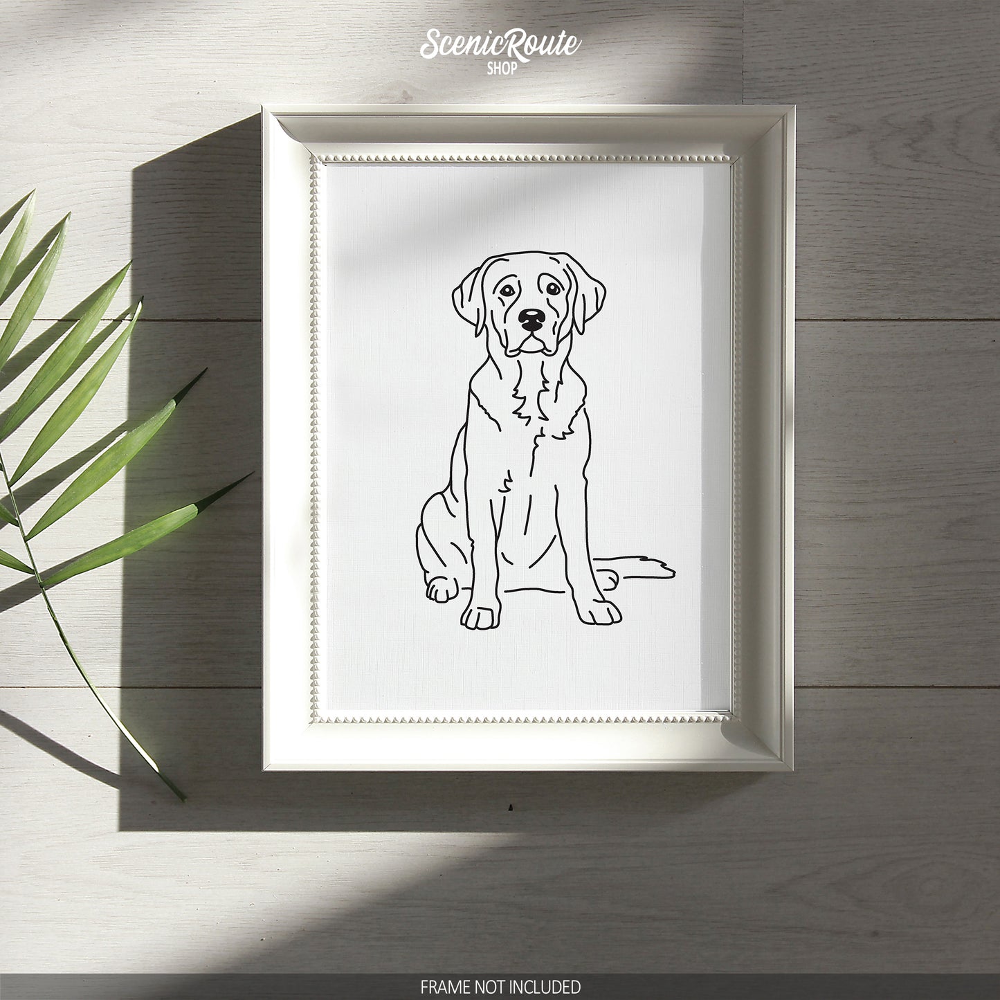 Labrador (American) Art Print