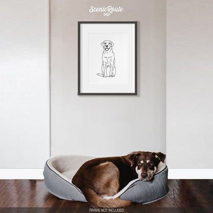 Labrador Art Print