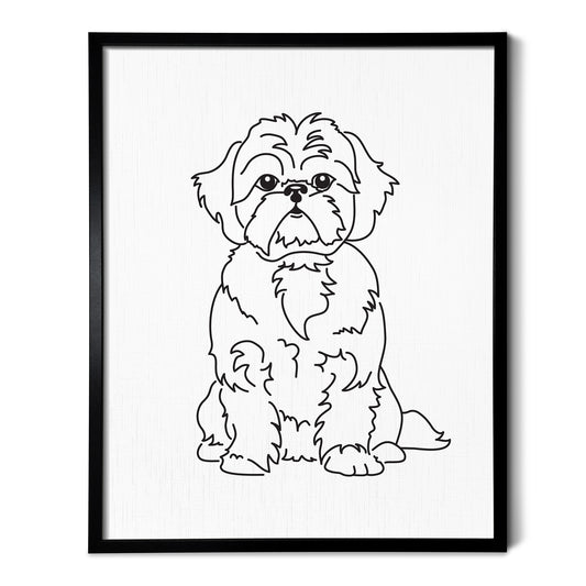 Shih Tzu Art Print