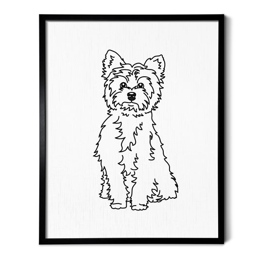 Yorkshire Terrier Art Print