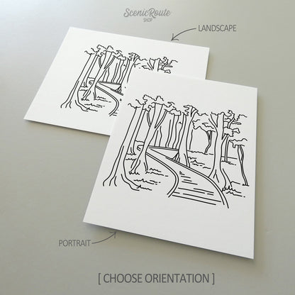 Two line art drawings of Congaree National Park on white linen paper with a gray background.  The pieces are shown in portrait and landscape orientation for the available art print options.