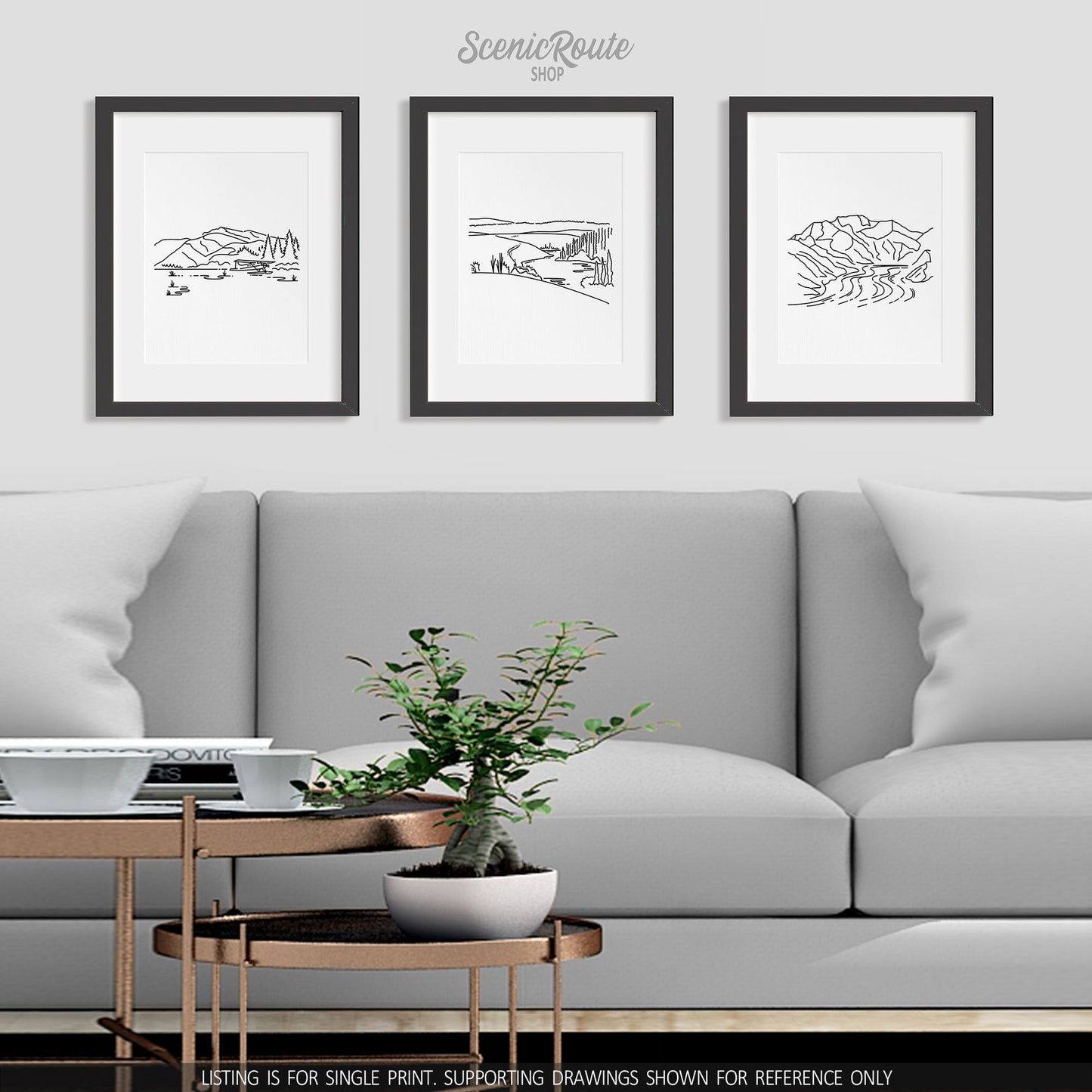 A group of three framed drawings on a brick wall hanging above a side table and plant next to a couch. The line art drawings include Lake Clark National Park, Kobuk Valley National Park, and Wrangell Saint Elias National Park